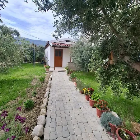 Modern In With Garden View *
